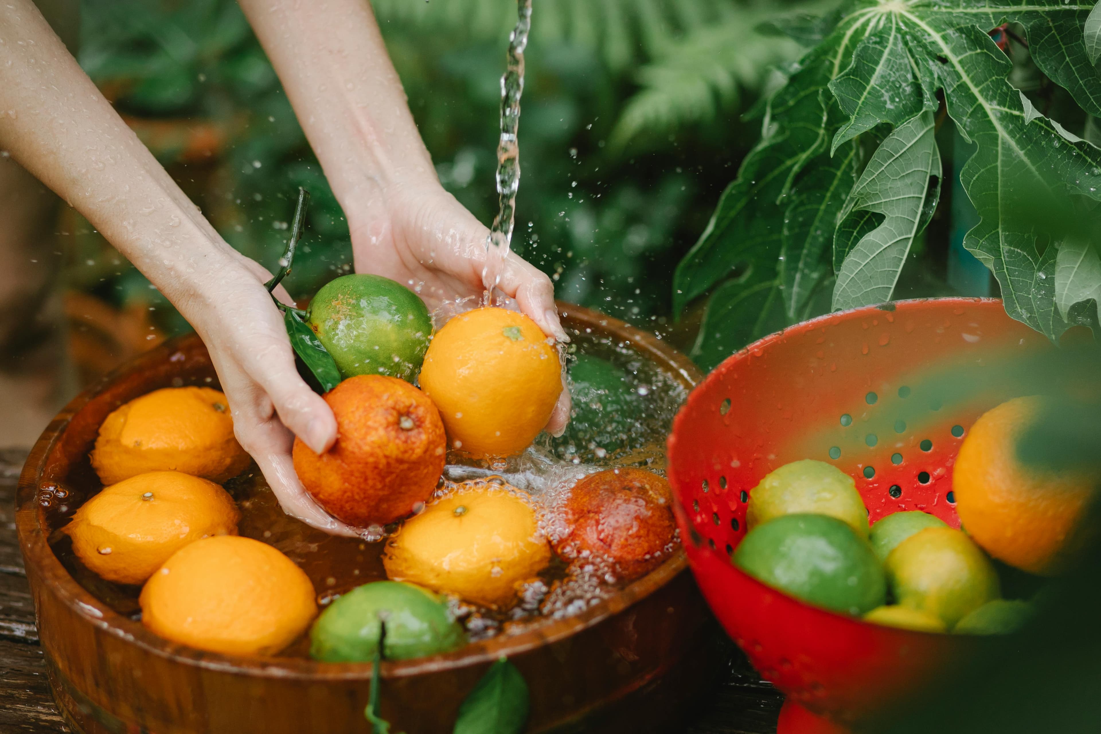 Conseil d'Etat : suspension importation fruits pesticides
